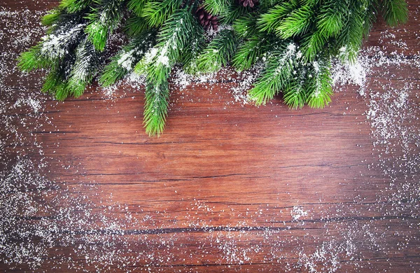 Ramitas de abeto cubierto de nieve — Foto de Stock