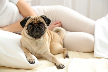 Kadın ve pug köpek