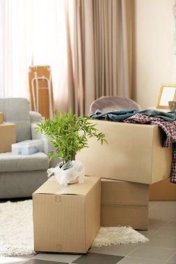 Ev eşyaları Paketli