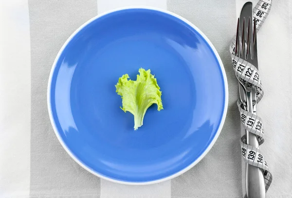 Plate with piece of green lettuce leaf — Stock Photo, Image