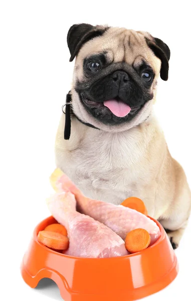 Dog with bowl of tasty food — Stock Photo, Image