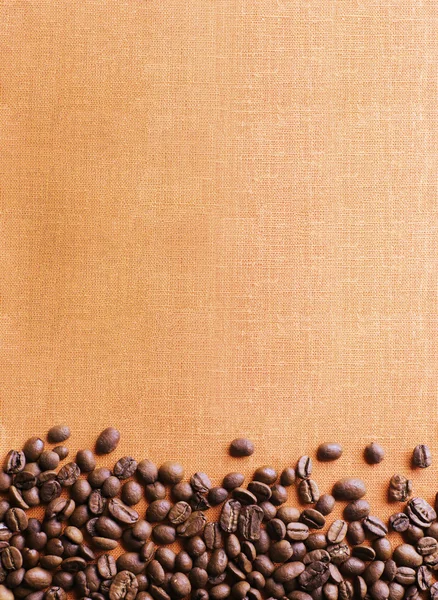 咖啡豆架 — 图库照片
