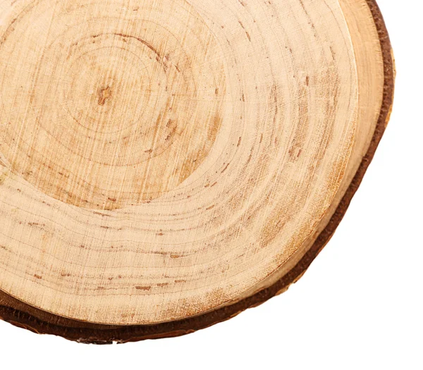 Деревянный круглый ломтик — стоковое фото