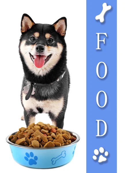 Hond met Kom lekker eten — Stockfoto