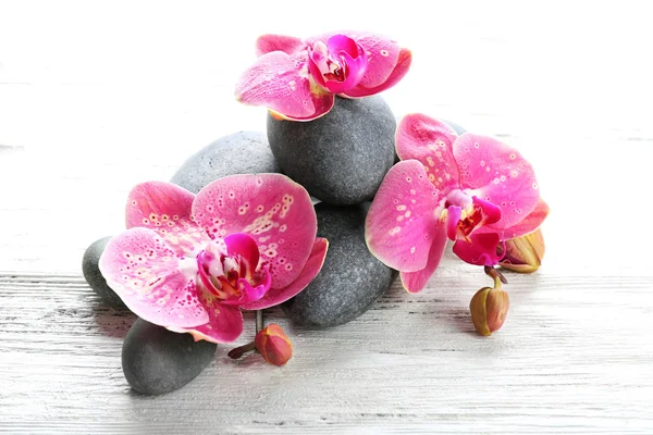 Beautiful composition of orchid and pebbles — Stock Photo, Image