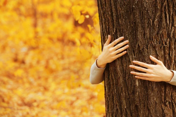Hands hugging tree