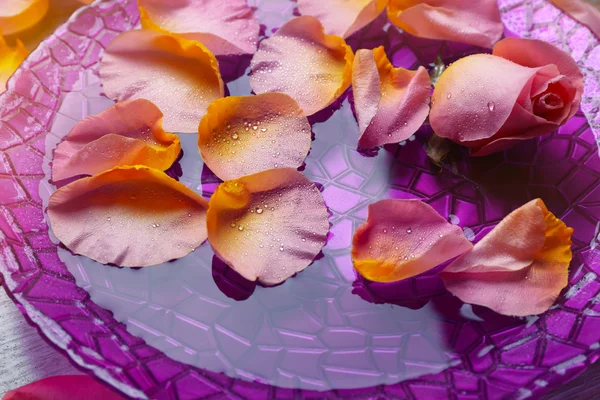 Pink rose petals — Stock Photo, Image