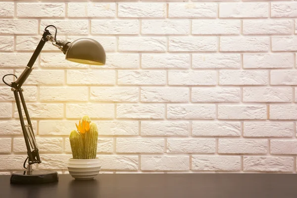 Lamp and plant on the desk — Stock Photo, Image