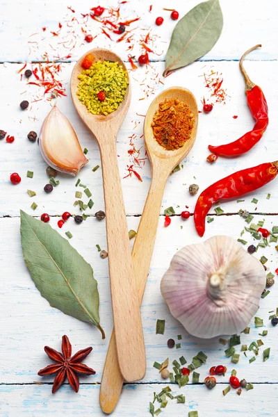 Various of spices on wooden background — Stock Photo, Image