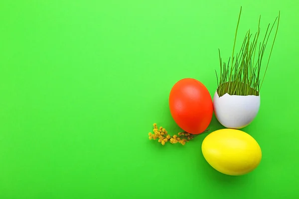 Paskalya yumurta taze ot ile — Stok fotoğraf