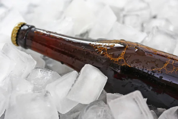 Bottle of beer in ice — Stock Photo, Image
