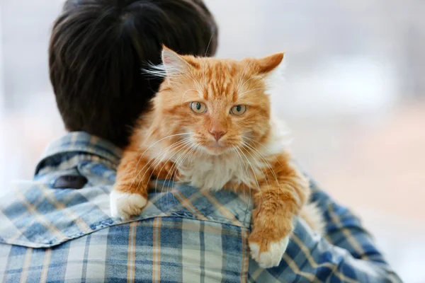 红猫坐在男人的肩膀上 — 图库照片