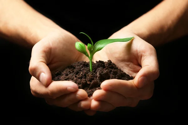 Hands holding soil and plant — Stock Photo, Image