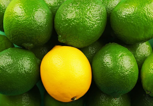 Stack of limes and lemon, closeup — Stock Photo, Image