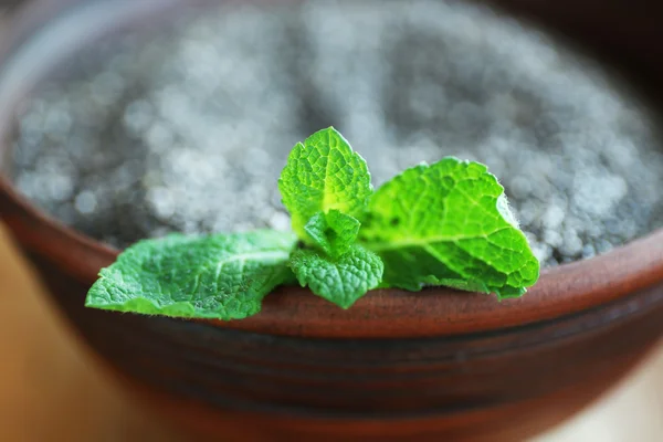 Mangkuk biji chia dengan daun mint — Stok Foto