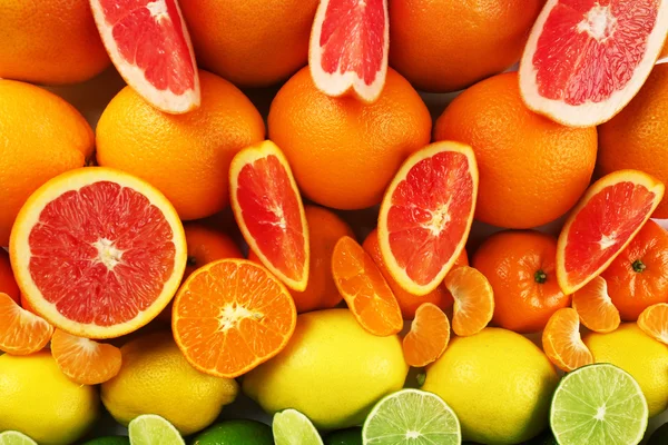 Kolorowy mieszanych owoców cytrusowych sortowane i ustawieni w rzędy z plastrami i połówki, widok z góry — Zdjęcie stockowe