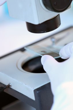 Laboratuvarda eğitim klinisyen