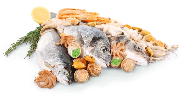 Fresh Mediterranean fish cocktail on white background, close up — Stock Photo, Image