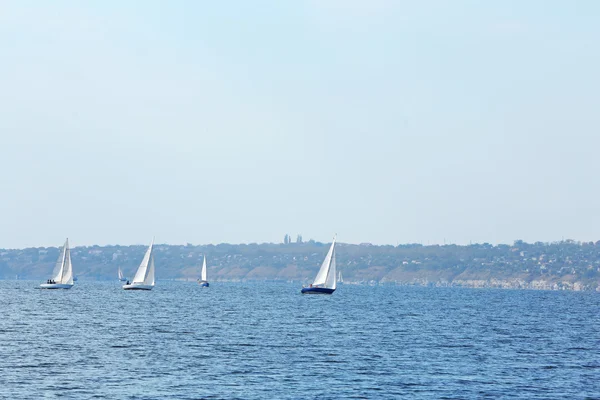 Jachten zeilregatta — Stockfoto