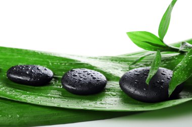 Bambu taşlarla sıcak spa