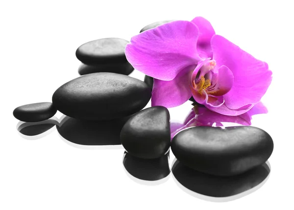 Pietre termali nere e orchidee — Foto Stock