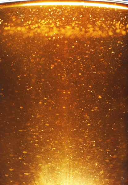 Golden beer in glass — Stock Photo, Image