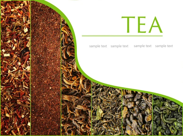 Assortment of dry tea close-up — Stock Photo, Image