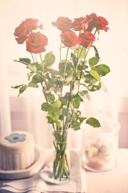 Taze Kırmızı Güller