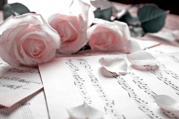 Beautiful roses on music notes — Stock Photo, Image