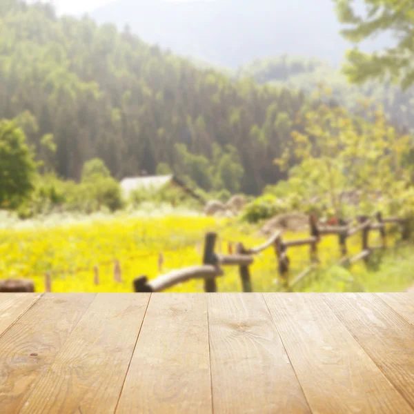 Fondo de la naturaleza borrosa —  Fotos de Stock