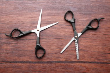 İki profesyonel metal makas 