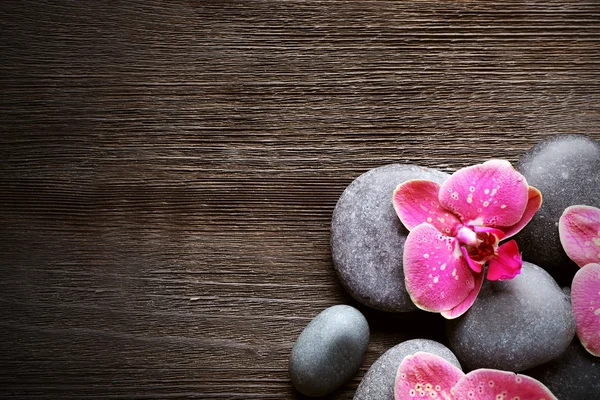 Spa stones and orchids — Stock Photo, Image