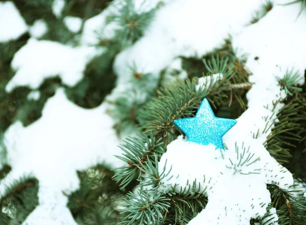 ブルー クリスマスの星 — ストック写真