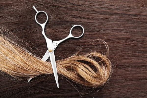 Ножницы парикмахера с разноцветными прядями волос — стоковое фото