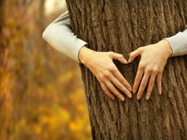 Hands hugging tree clipart
