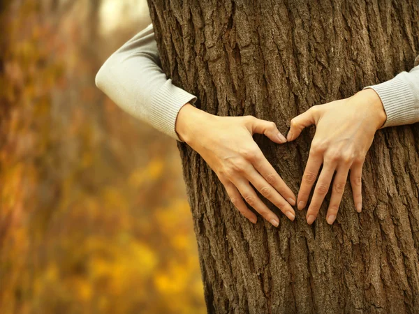 Hands hugging tree