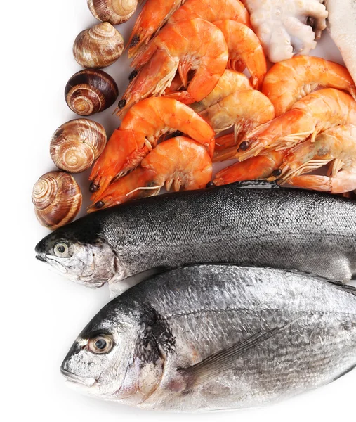 Delicious Seafood  on white — Stock Photo, Image