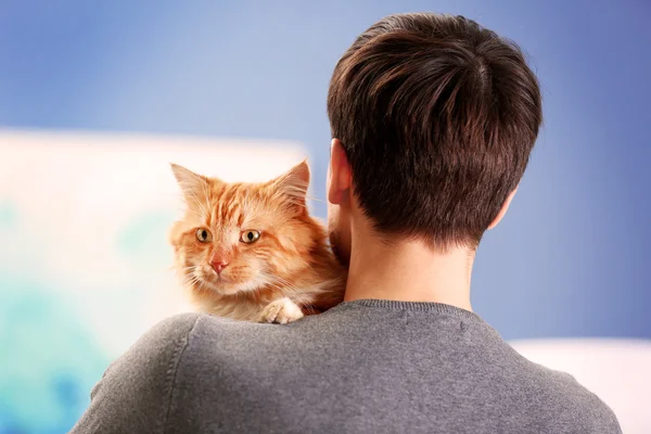 Red cat sitting on a man 's shoulder — стоковое фото