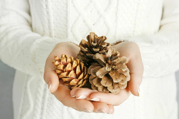 Cones de pinheiro em mãos de mulher — Fotografia de Stock