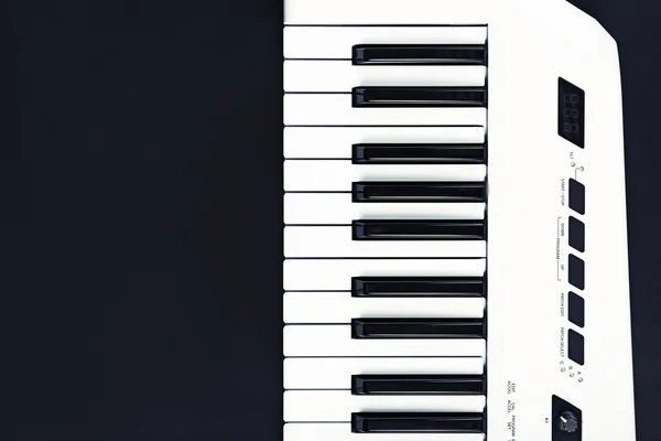 Clavier audio du synthétiseur — Photo