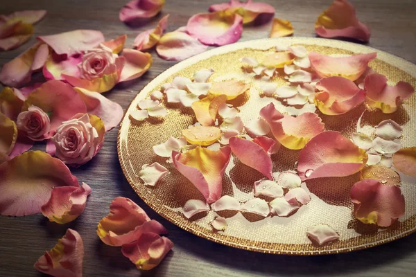 Rosa y amarillo pétalos de rosa — Foto de Stock