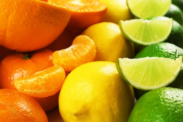 Frutos cítricos mistos coloridos classificados e alinhados em fileiras com fatias e metades, de perto — Fotografia de Stock