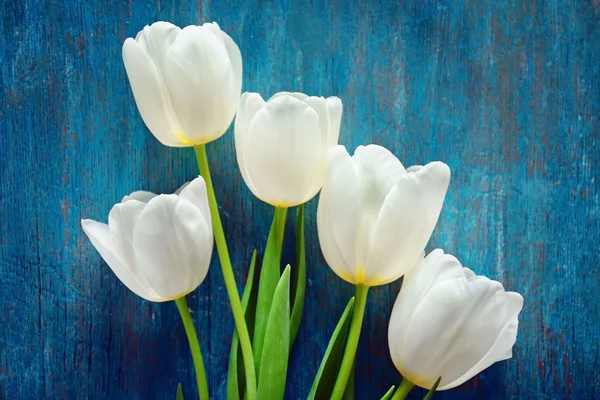 Boeket van witte tulpen op blauwe houten achtergrond, close-up — Stockfoto