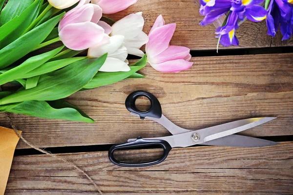 Tulips, purple irises with scissors — Stock Photo, Image