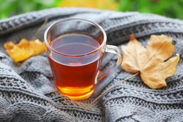 Glass cup of tea with grey plaid and autumn leaves, close up — Stock Photo, Image