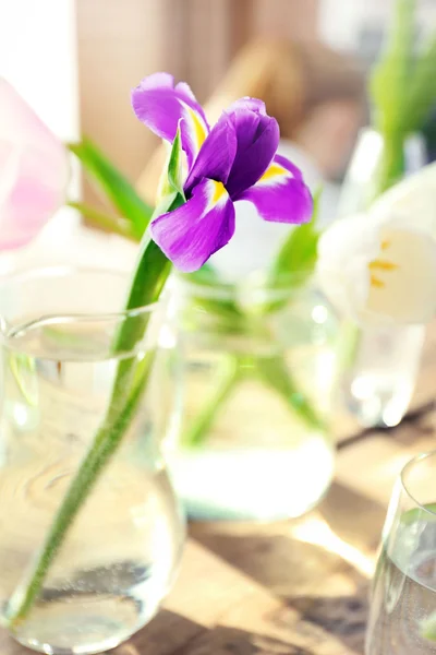 Purple iris in glass — Stock Photo, Image
