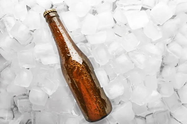 Bottle of beer in ice — Stock Photo, Image