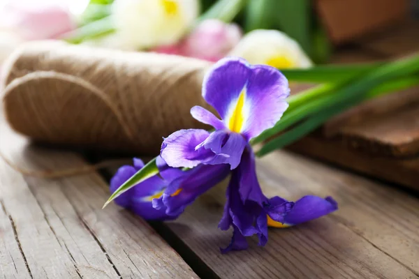 Iris púrpura con cuerda — Foto de Stock