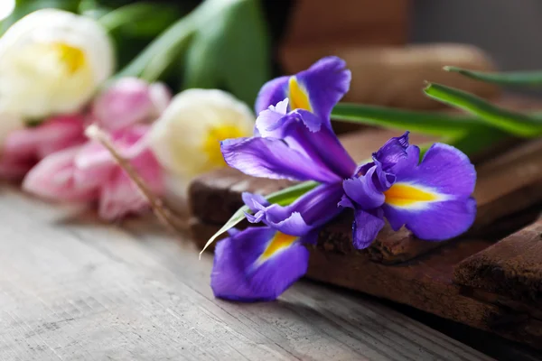 Фіолетова іриса з тюльпанами на дерев'яному фоні, крупним планом — стокове фото