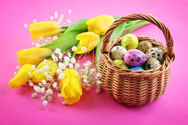 Multicoloured Easter eggs in basket and crocus on pink background — Stock Photo, Image